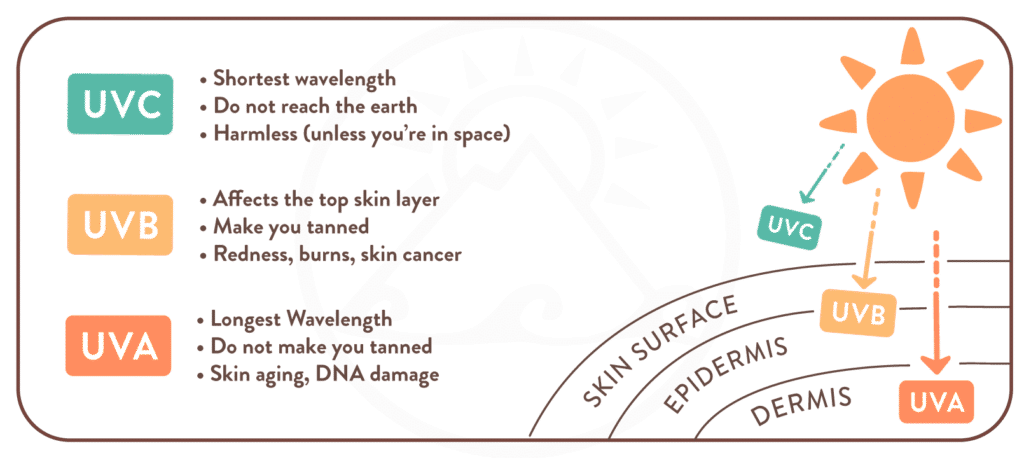 Does SPF impact Vitamin D intake?
