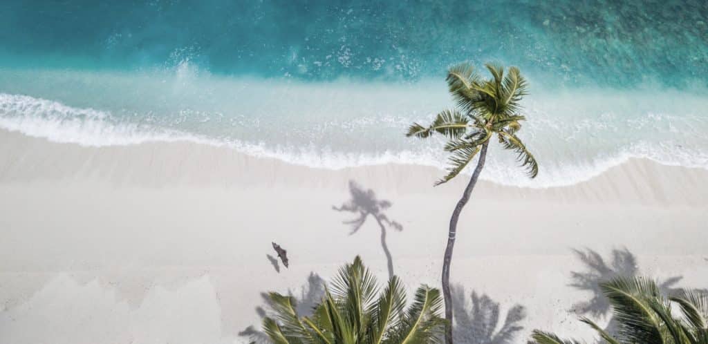 11 Toxic sunscreen ingredients to avoid in 2024