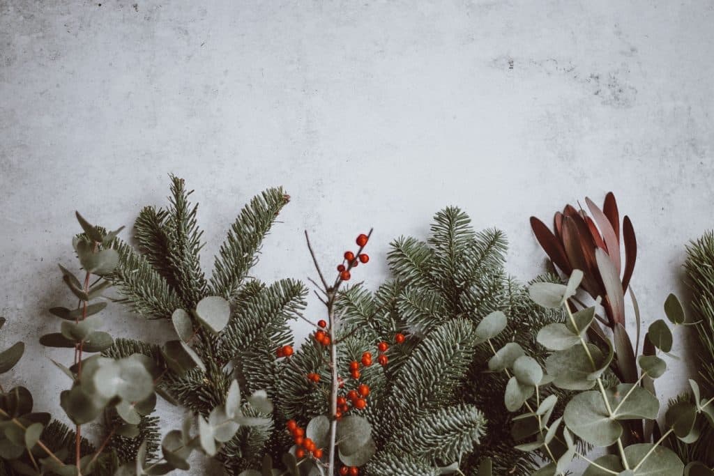 How to protect your skin during winter