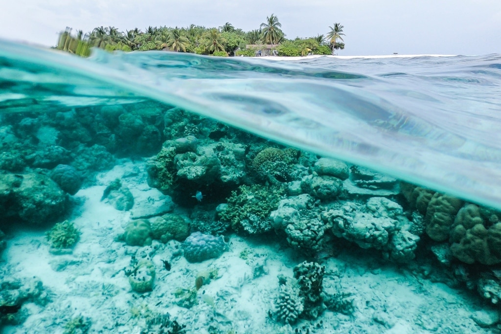 PART 1 - THE PROBLEM WITH CHEMICAL SUNSCREENS / INTERVIEW WITH CRAIG DOWNS