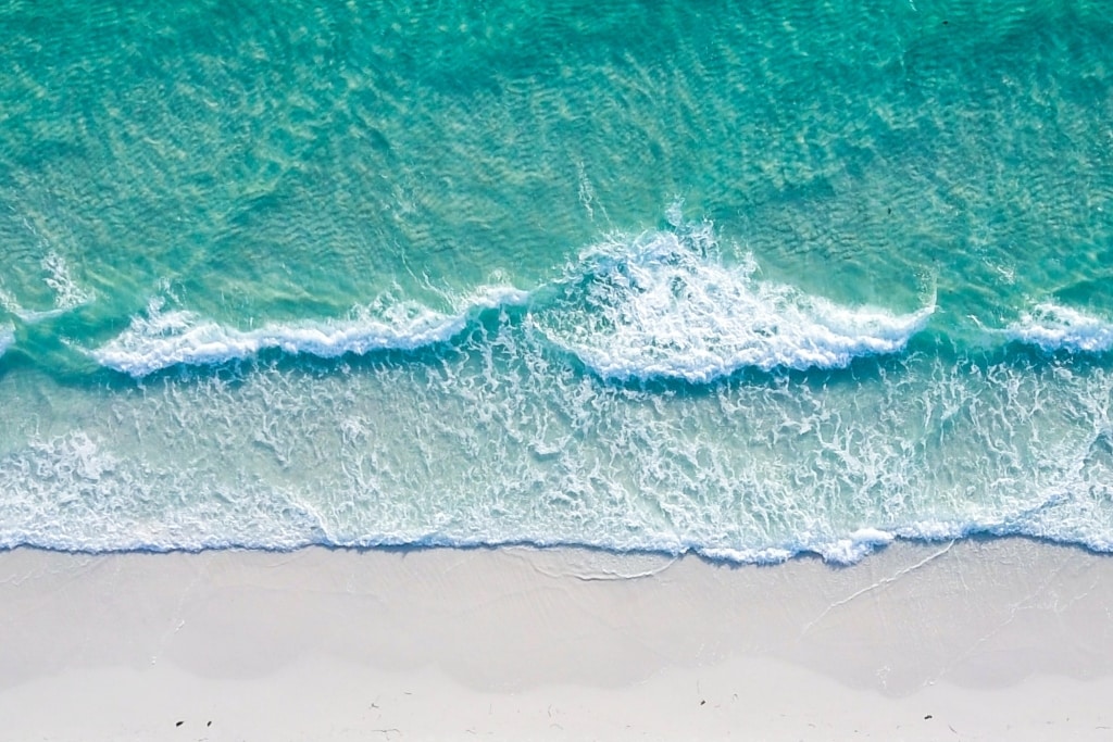 PART 1 - THE PROBLEM WITH CHEMICAL SUNSCREENS / INTERVIEW WITH CRAIG DOWNS