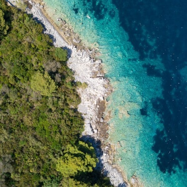 Part 3 - Why our Oceans are so Important / Interview with Craig Downs