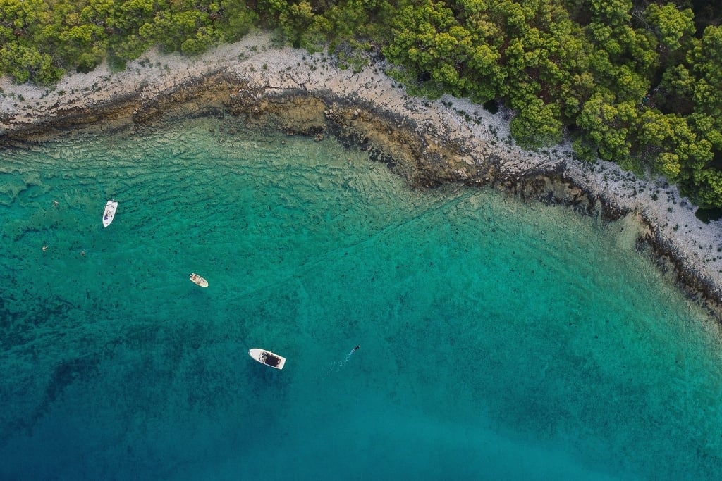 Part 3 - Why our Oceans are so important / Interview with Craig Downs