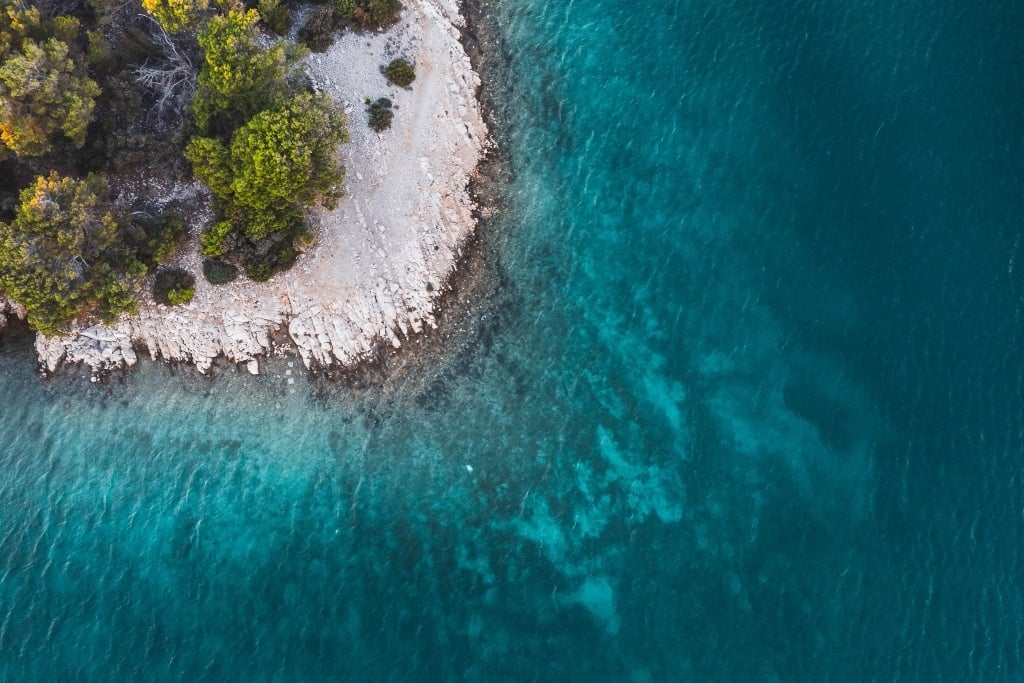 Part 3 - Why our Oceans are so important / Interview with Craig Downs