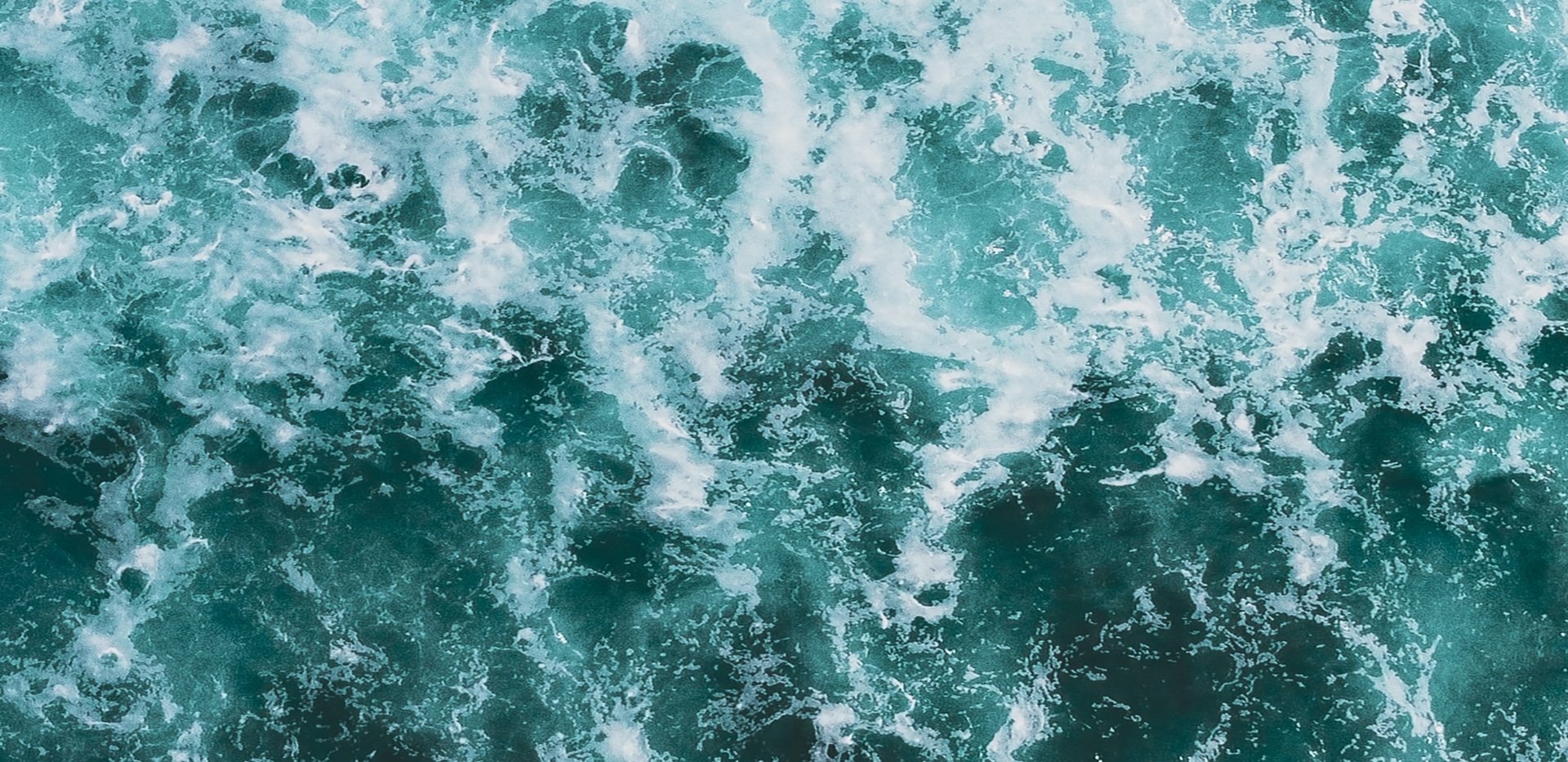 Read more about the article Part 3 – Why our Oceans Are So Important / Interview with Craig Downs