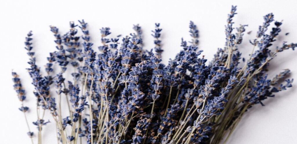 The Dangers of Synthetic Fragrances