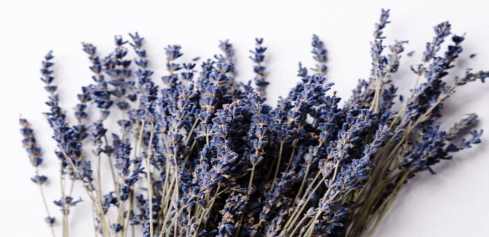 The Dangers of Synthetic Fragrances