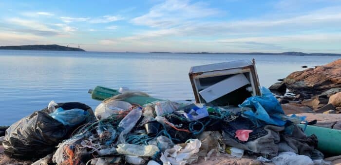 Suntribes Interview with CleanSea