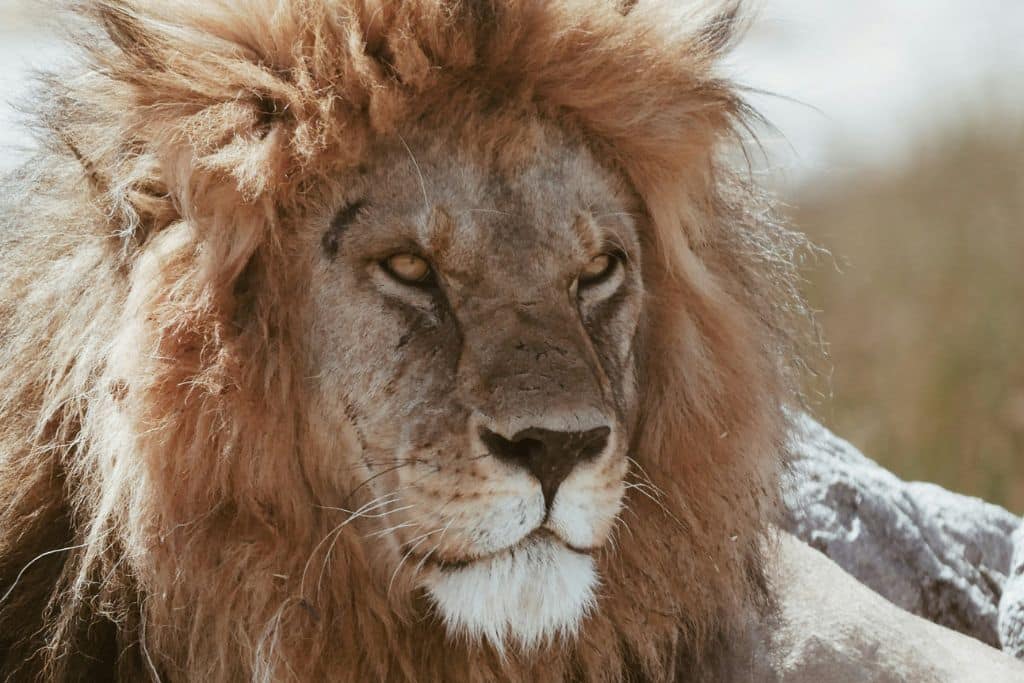 Make a safe choice - Suntribe scores on INCI Beauty & Yuka