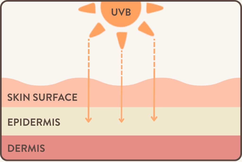 Does SPF impact Vitamin D?