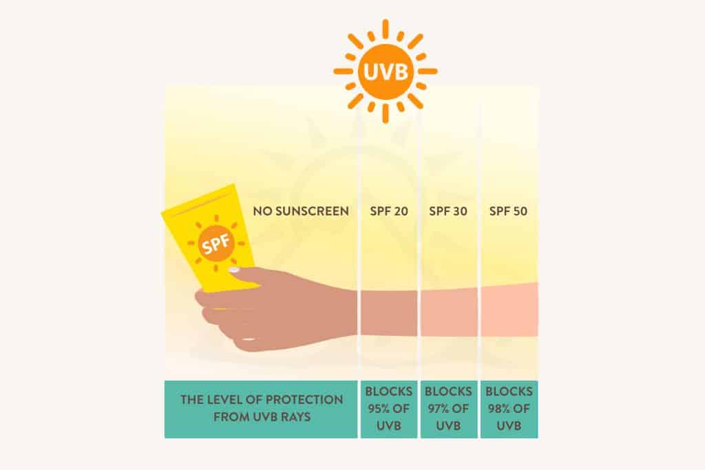 Does SPF impact Vitamin D intake?